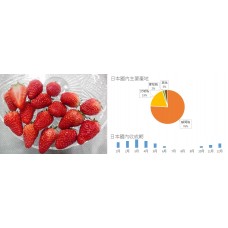 靜岡縣 紅臉頰草莓