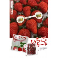 愛媛縣士多啤梨(禮盒裝)