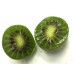 Zealand Kiwi berry 