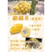i-PITAYA-YELLOW
