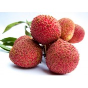 i-Litchi
