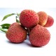 i-Litchi