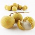 i-Longan