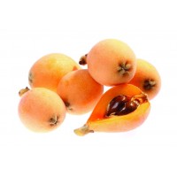 i-Loquat