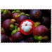 i-Mangosteen