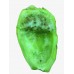 Cactus Pear