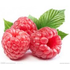 Mulberry