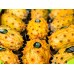 i-Kiwano
