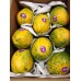 Papaya (4-8pcs/box)