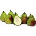 i-Green Pear 綠安琪兒