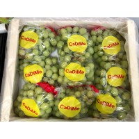 i-Green Garpe (Seedness)