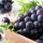 i-Pione Grape