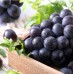 i-Pione Grape