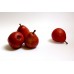 i-Red Pear - 紅八特利
