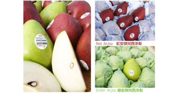 西洋梨Pear - 紅八特利