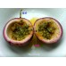 Passion Fruit 9 kg
