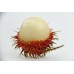 Rambutan