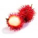 Rambutan