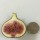 Fig (South Africa) 160g