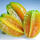 Starfruit