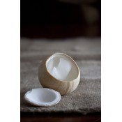 i-Coconut
