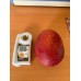 i-Taiwan Mango 5 kg box