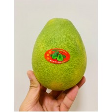 Taiwan Pomelos
