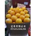 CARA CARA NAVEL ORANGE