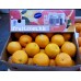 CARA CARA NAVEL ORANGE