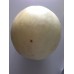 Honeydew melon