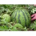 i-Watermelon