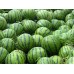 i-Watermelon