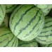 i-Watermelon