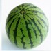 i-Watermelon