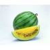 i-Watermelon