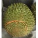 i-Mao Shan Wong Durian