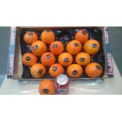 i-Persimmon