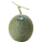i-Kumamoto Higo Green Melon