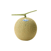 i-Melon