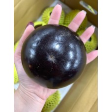 牛奶果(6-12個) 3.5Kg