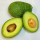i-Kenya Avocado