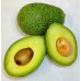 i-Kenya Avocado