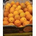 Austrian Blood Orange(15kg/box)