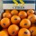 澳洲橙
