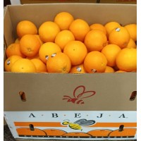 美國蜜蜂仔(15kg/箱) 美國蜜蜂仔(15kg/箱)