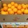 USA Bee Sweet Orange(15kg/box)