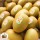 Golden Kiwis 18-22 or 31-37pcs/box