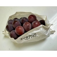 i-Aurora Black 5Kg (6-12packs)