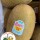 Japan Golden Kiwis 18-22 or 31-37pcs/box
