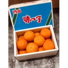 長崎西海味之子蜜柑禮盒2500g